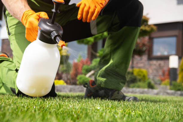 Best Affordable Pest Control Services  in Heritage Lake, IL