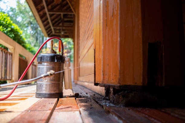 Pest Control for Restaurants in Heritage Lake, IL