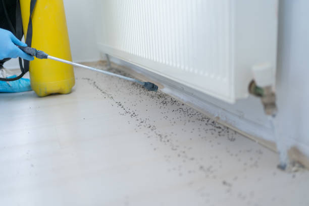 Best Affordable Pest Control Services  in Heritage Lake, IL